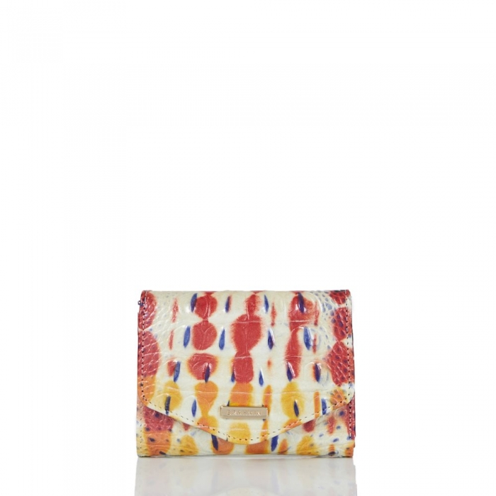 Brahmin Small Veronica Celebrate Melbourne ID:Brahmin-203655