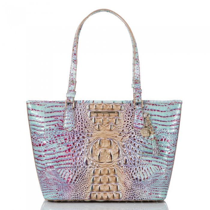 Brahmin Medium Asher Seltzer Ombre Melbourne ID:Brahmin-202774