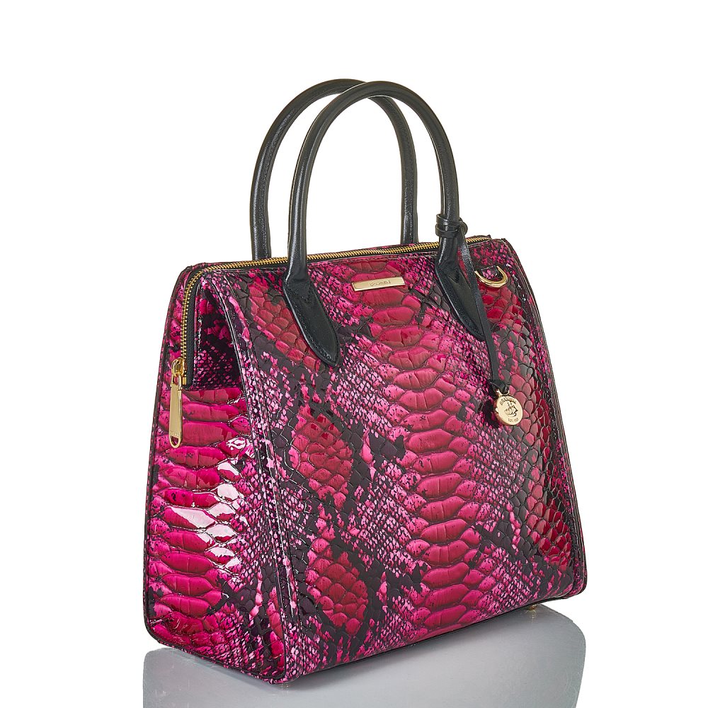 Brahmin Caroline Potion Ziggy ID:Brahmin-202558