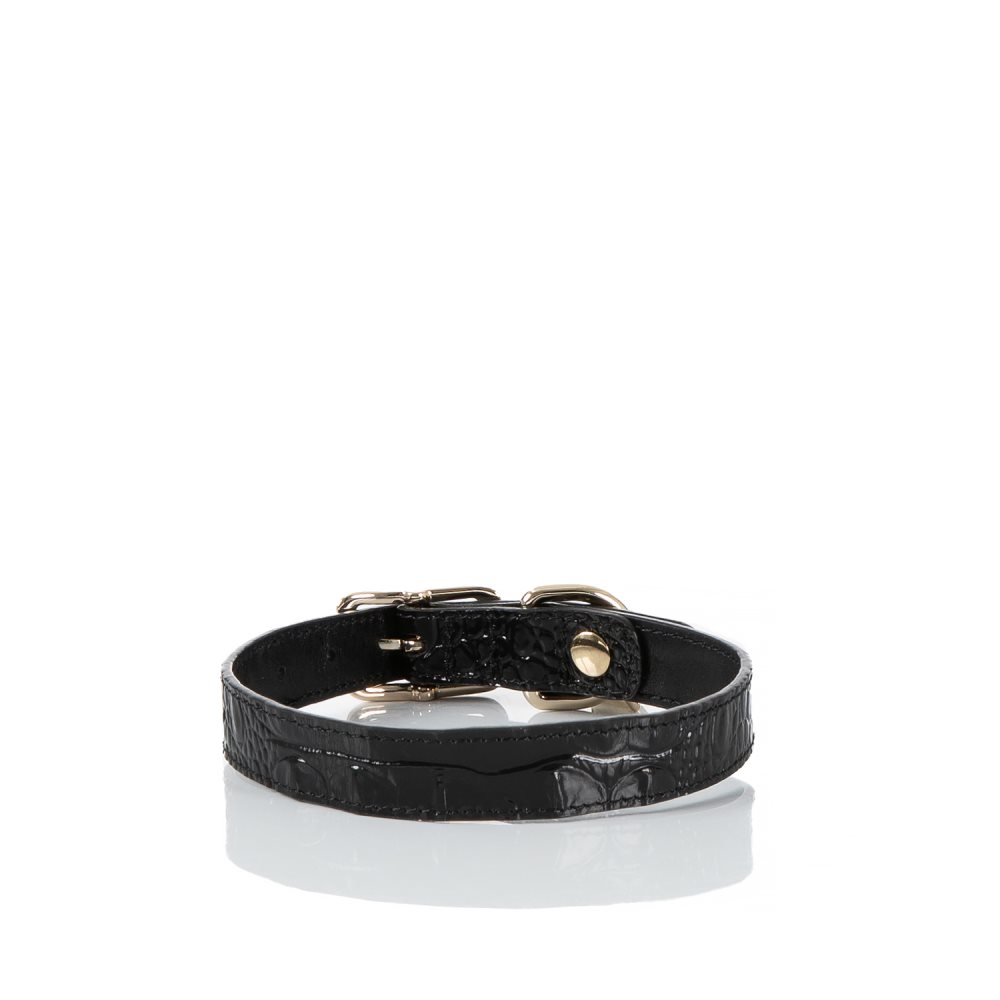 Brahmin Medium Pet Collar Black Melbourne ID:Brahmin-203581