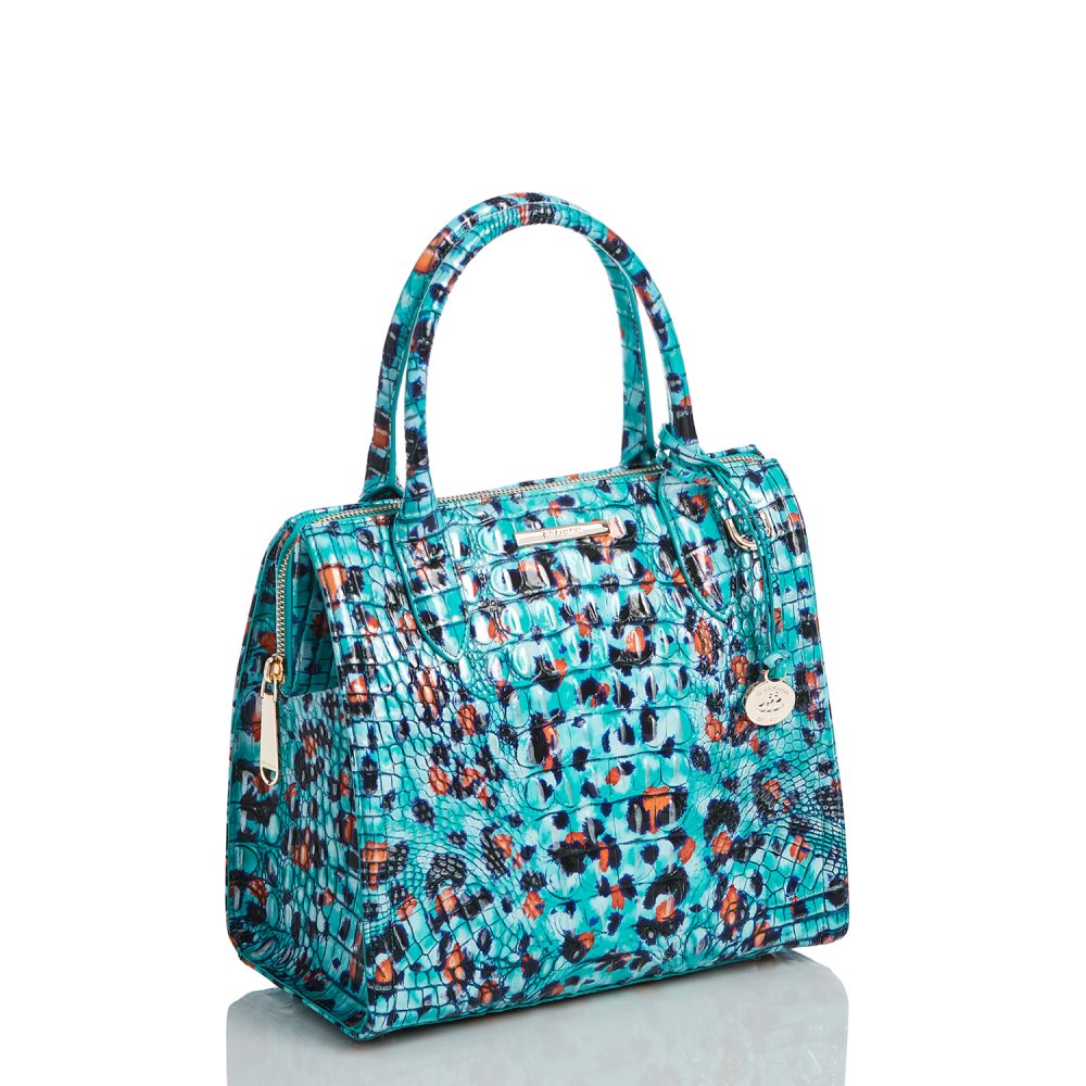 Brahmin Small Caroline Frisky Melbourne ID:Brahmin-203180