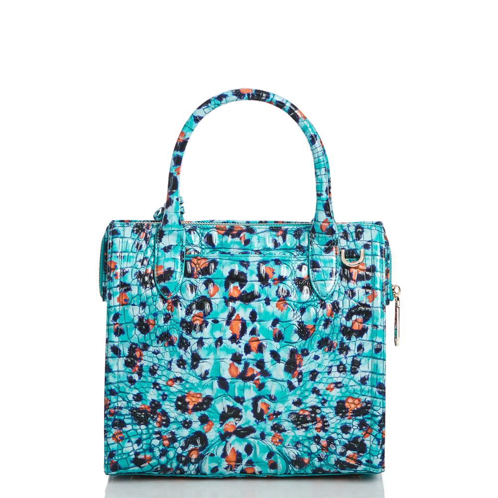 Brahmin Small Caroline Frisky Melbourne ID:Brahmin-203180