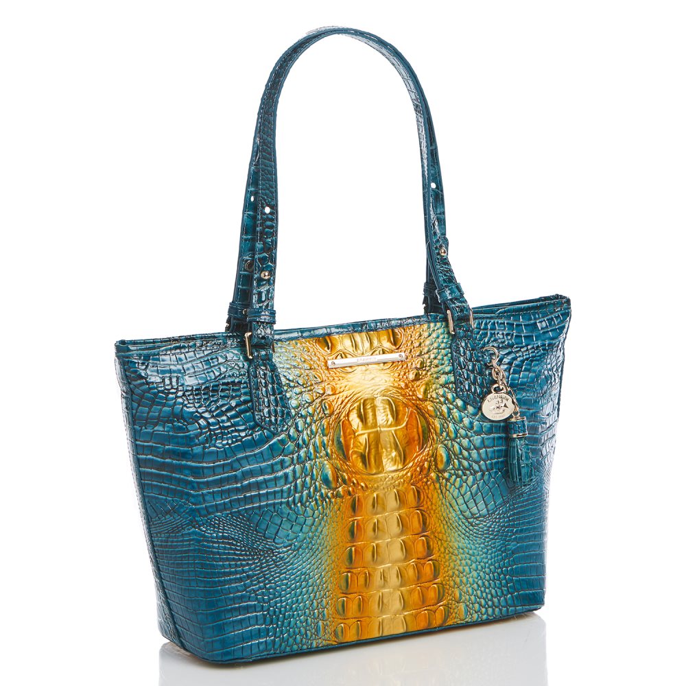Brahmin Medium Asher Bermuda Ombre Melbourne ID:Brahmin-202712