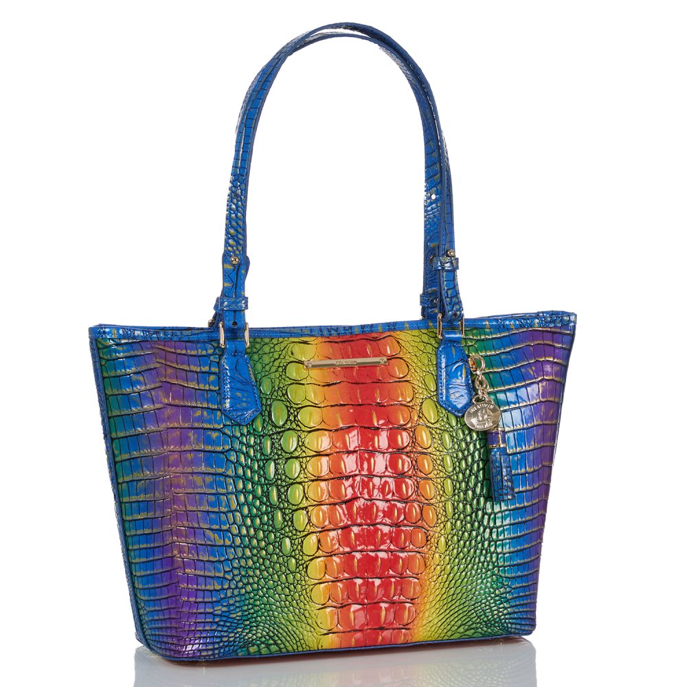 Brahmin Medium Asher Popsicle Ombre Melbourne ID:Brahmin-202765