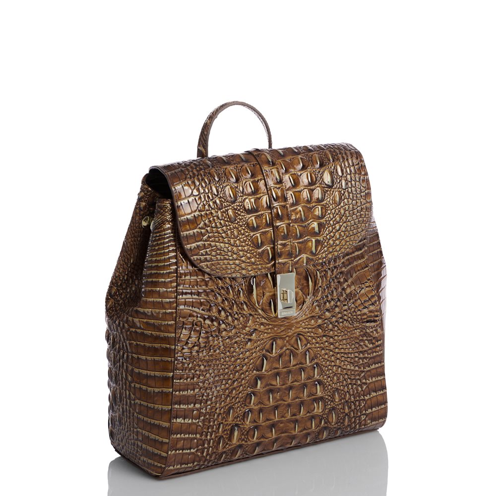Brahmin Sadie Teak Ombre Melbourne ID:Brahmin-203539
