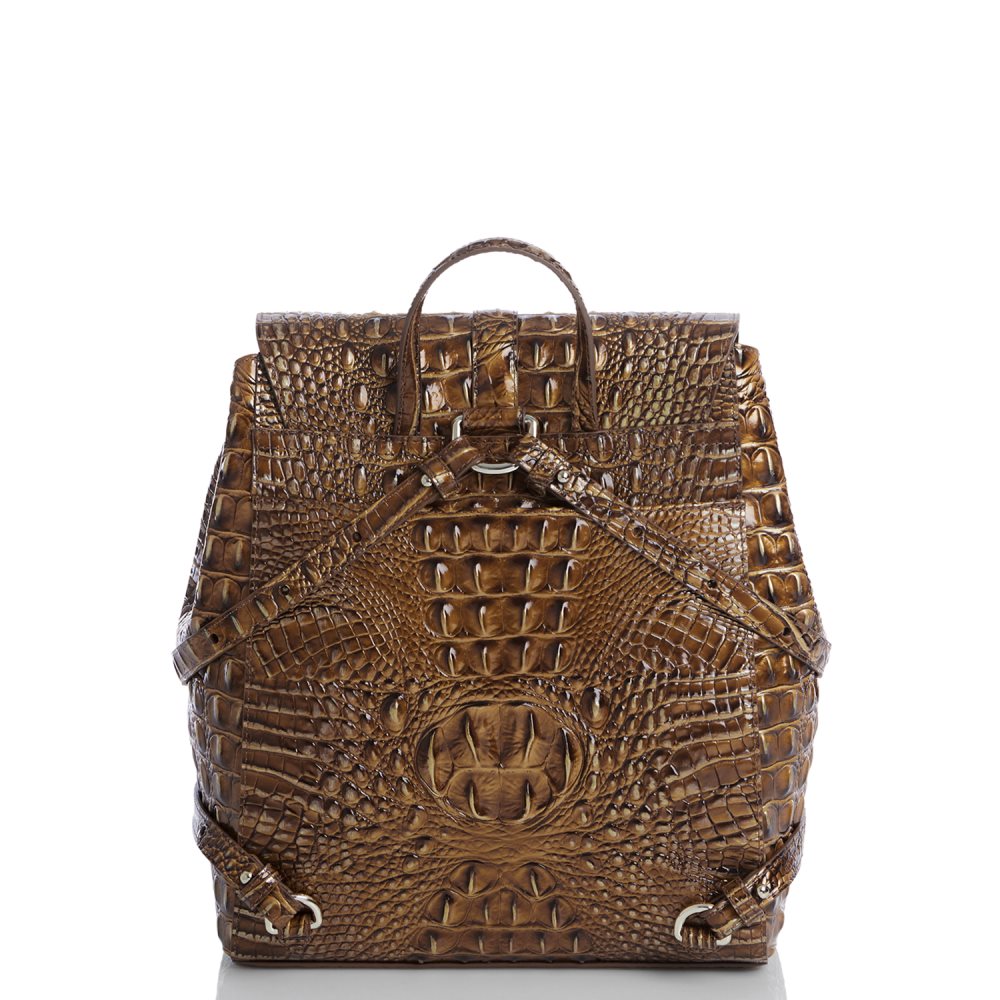 Brahmin Sadie Teak Ombre Melbourne ID:Brahmin-203539