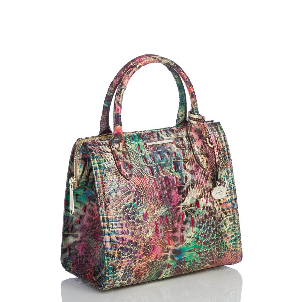 Brahmin Small Caroline Shapeshifter Melbourne ID:Brahmin-203014