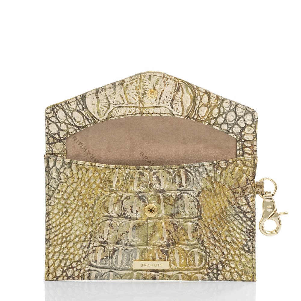 Brahmin Mini Envelope Case Symphony Melbourne ID:Brahmin-203576