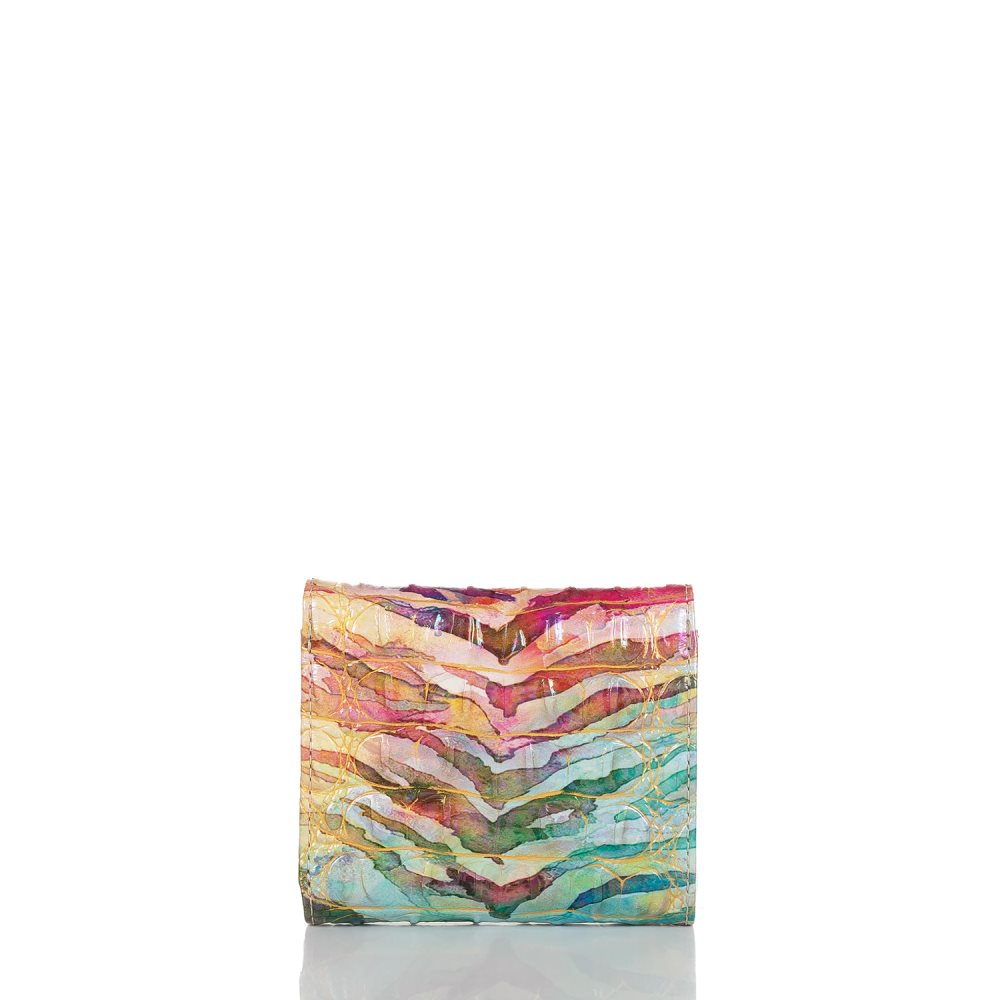 Brahmin Small Veronica Entice Ombre Melbourne ID:Brahmin-203686