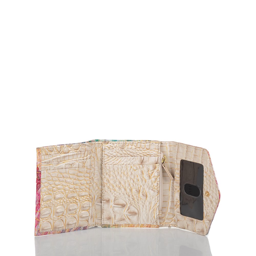 Brahmin Small Veronica Entice Ombre Melbourne ID:Brahmin-203686