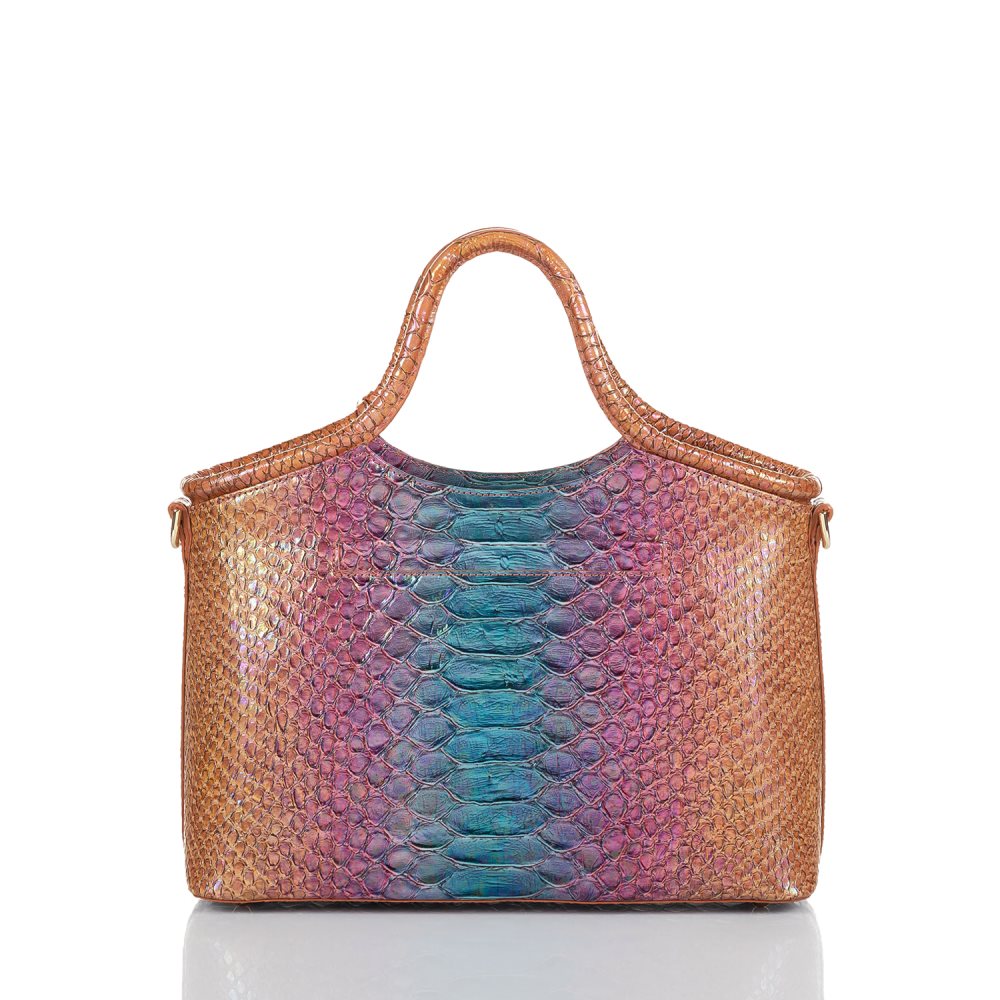 Brahmin Small Elaine Multi Stellaris ID:Brahmin-203197