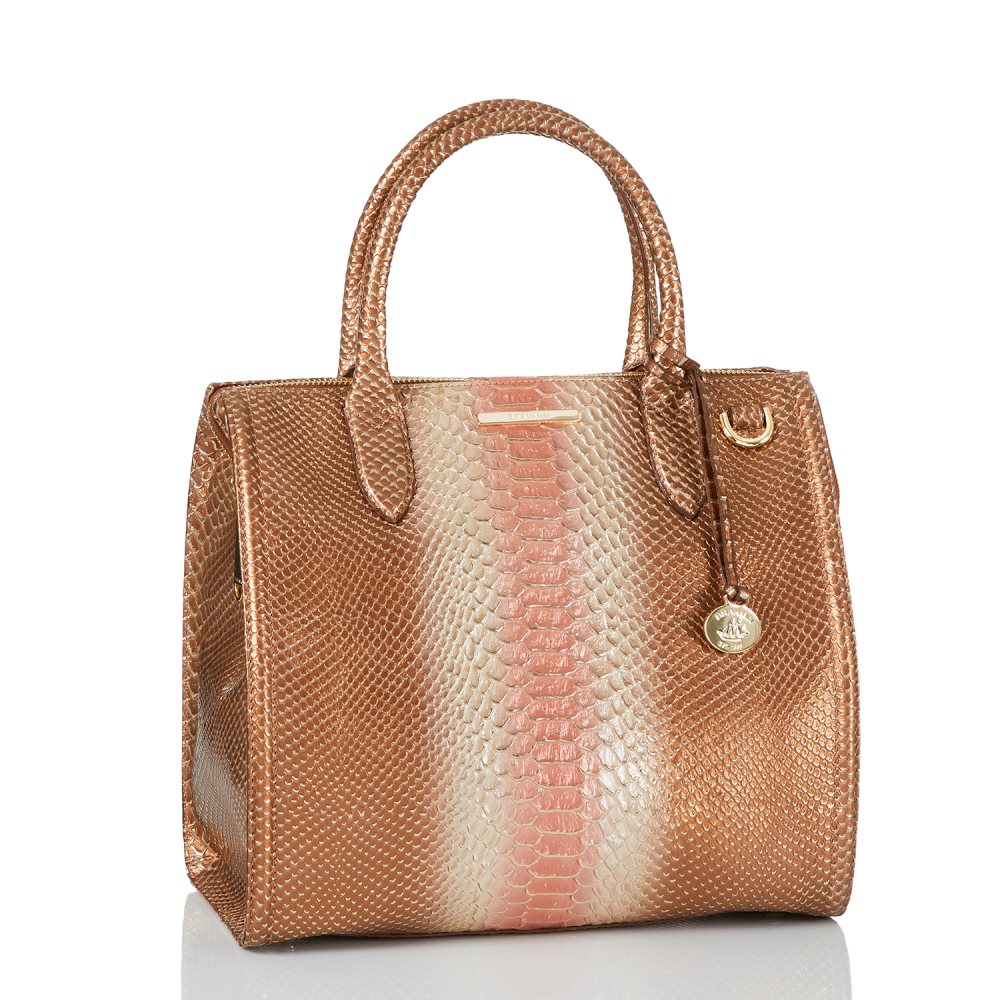 Brahmin Caroline Natural CocoBay ID:Brahmin-203139