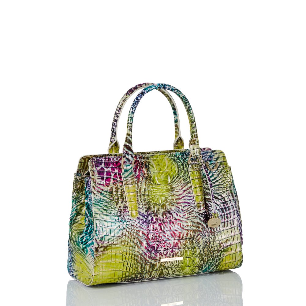 Brahmin Small Finley Wild Melbourne ID:Brahmin-203223