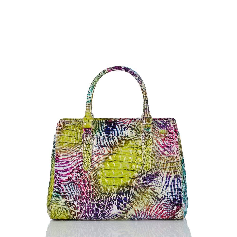 Brahmin Small Finley Wild Melbourne ID:Brahmin-203223