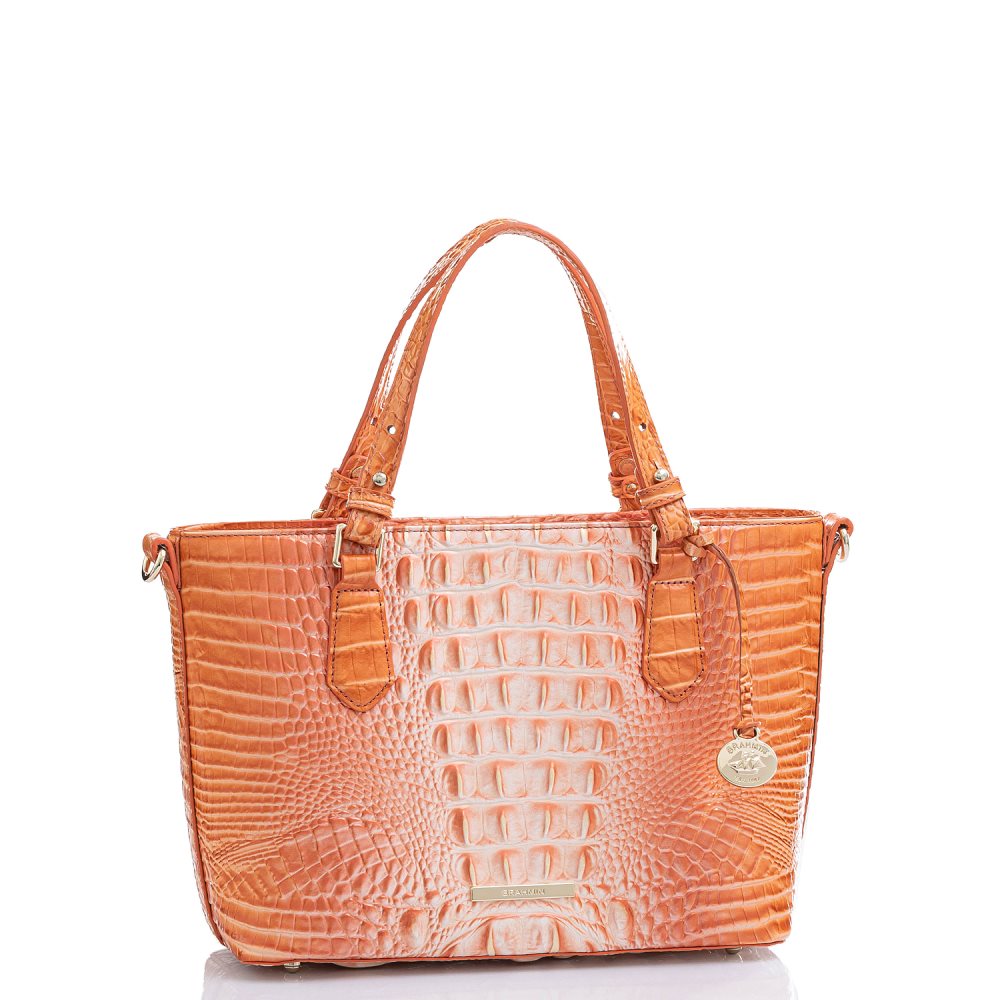Brahmin Mini Misha Sherbert Ombre Melbourne ID:Brahmin-203015