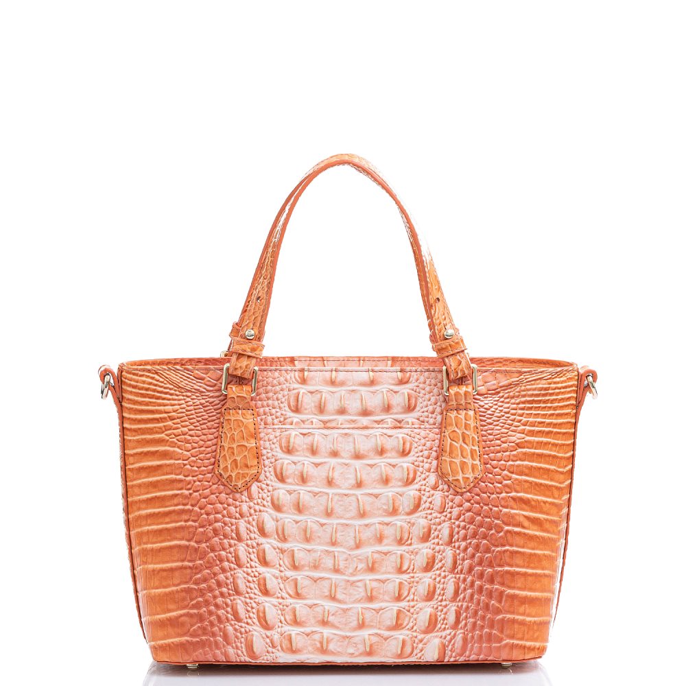 Brahmin Mini Misha Sherbert Ombre Melbourne ID:Brahmin-203015
