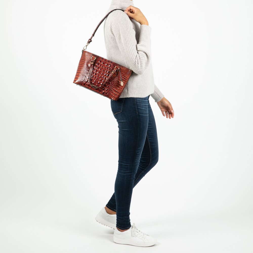 Brahmin Mini Misha Sherbert Ombre Melbourne ID:Brahmin-203015