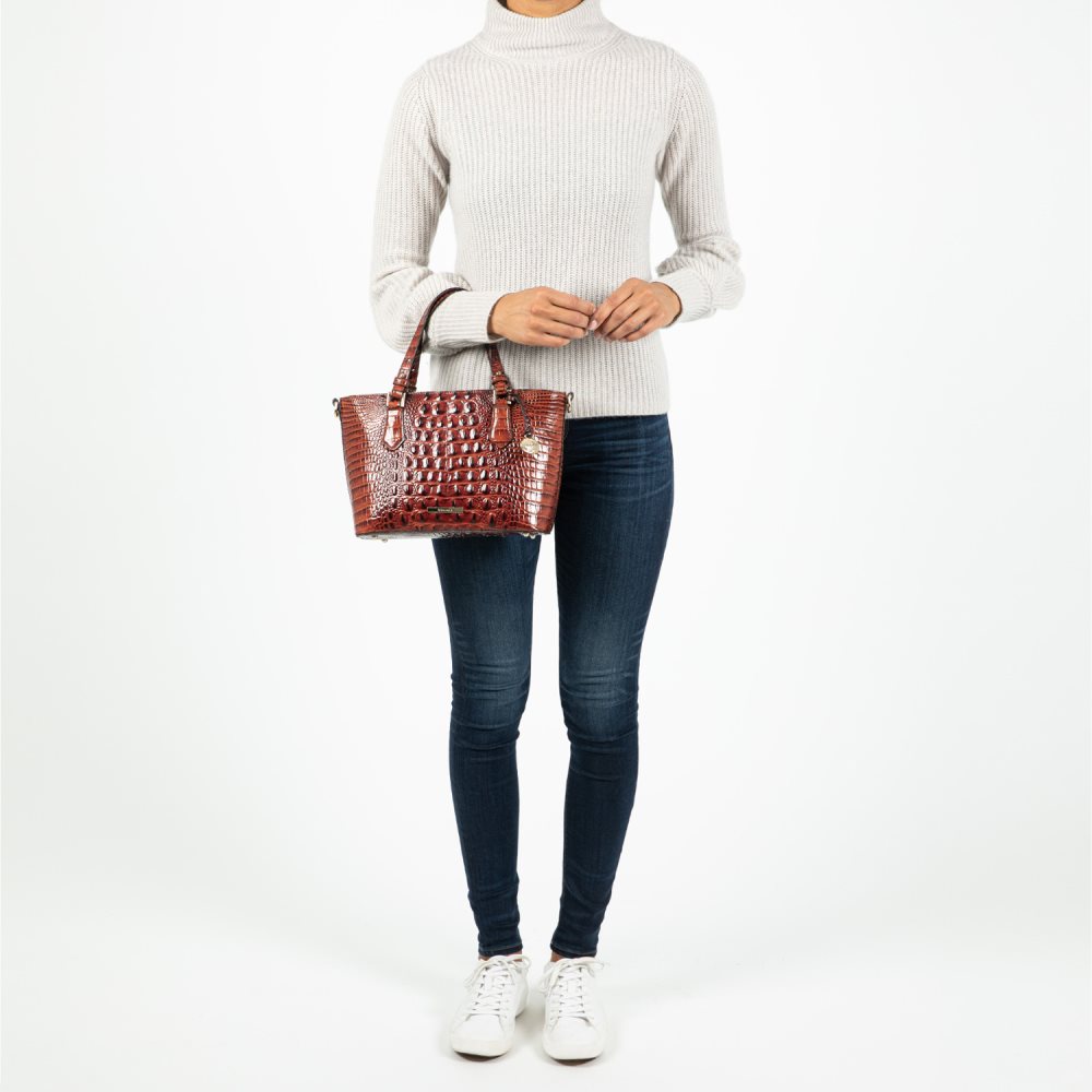 Brahmin Mini Misha Sherbert Ombre Melbourne ID:Brahmin-203015