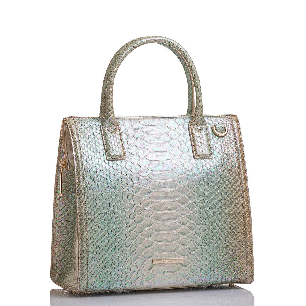 Brahmin Caroline Green Velocity ID:Brahmin-202974