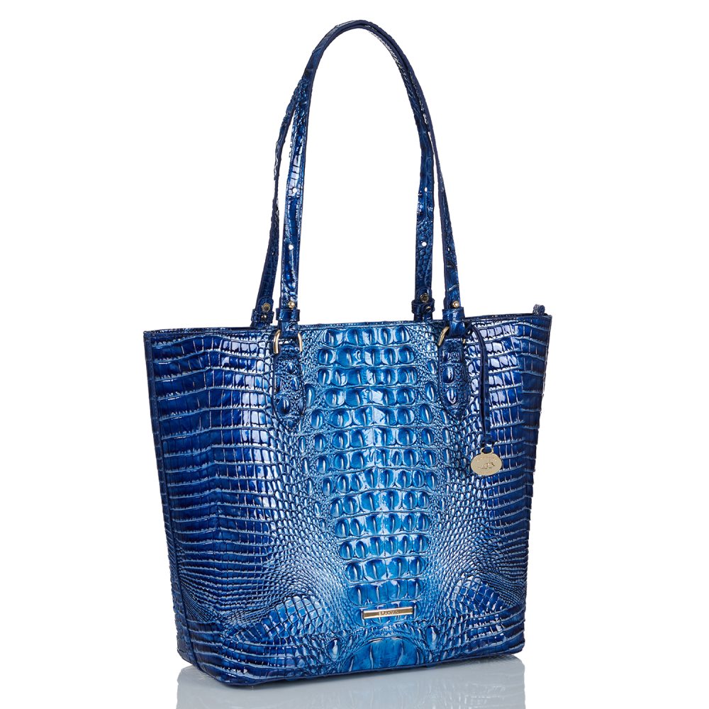 Brahmin Ellen Vista Blue Ombre Melbourne ID:Brahmin-202848