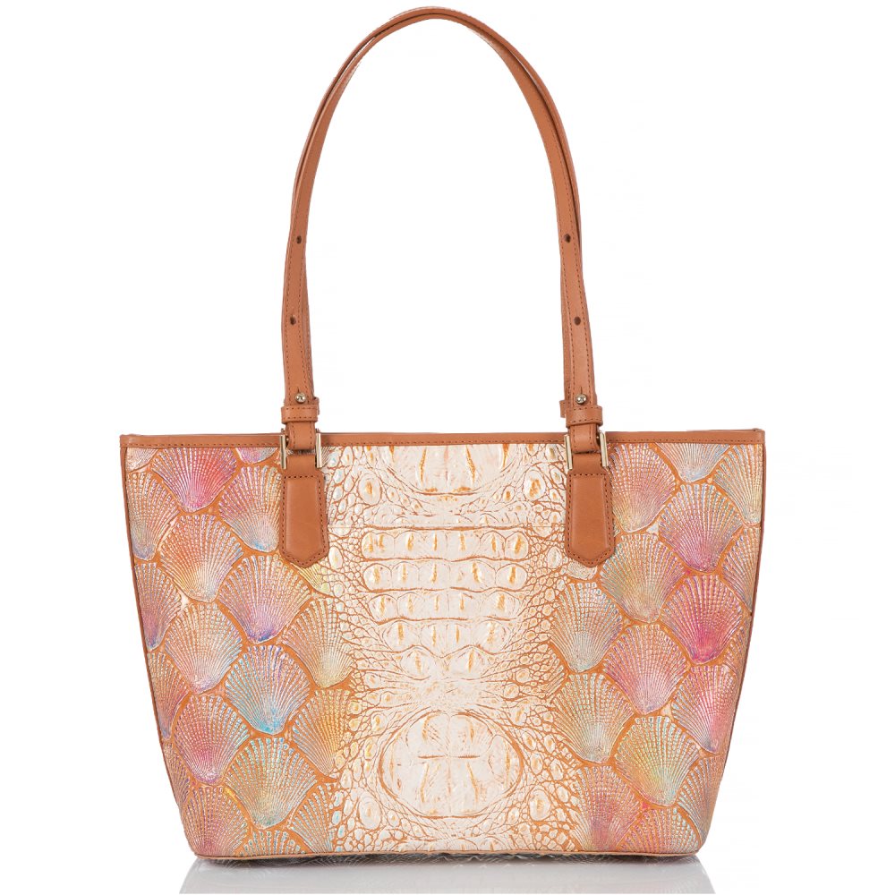 Brahmin Medium Asher Scallop Bondi ID:Brahmin-202772