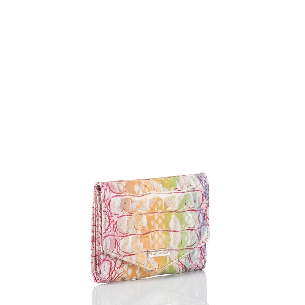 Brahmin Small Veronica Optimism Melbourne ID:Brahmin-203734