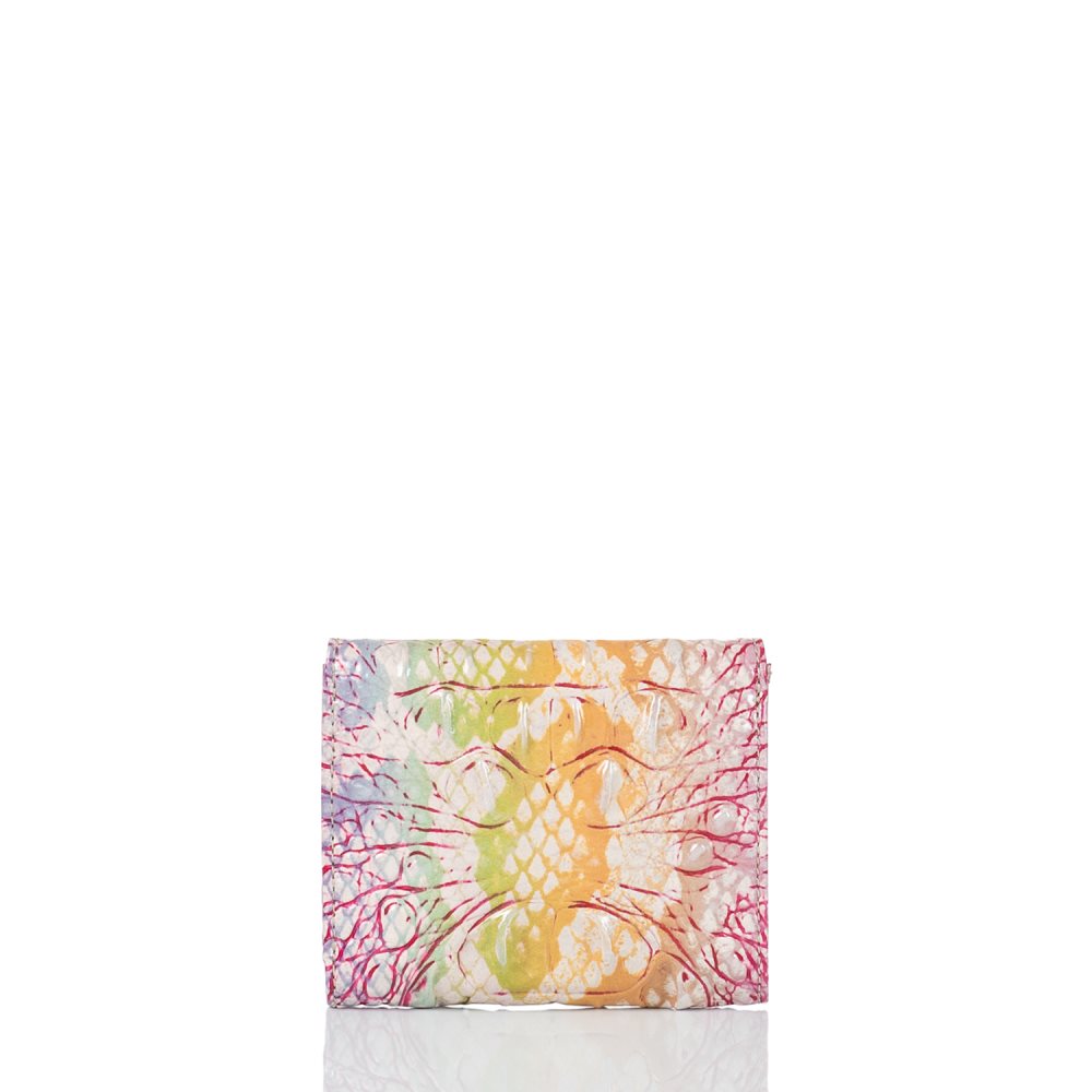 Brahmin Small Veronica Optimism Melbourne ID:Brahmin-203734