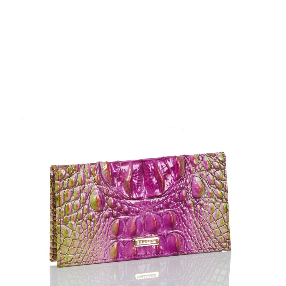 Brahmin Cordelia Checkbook Limeade Ombre Melbourne ID:Brahmin-203712