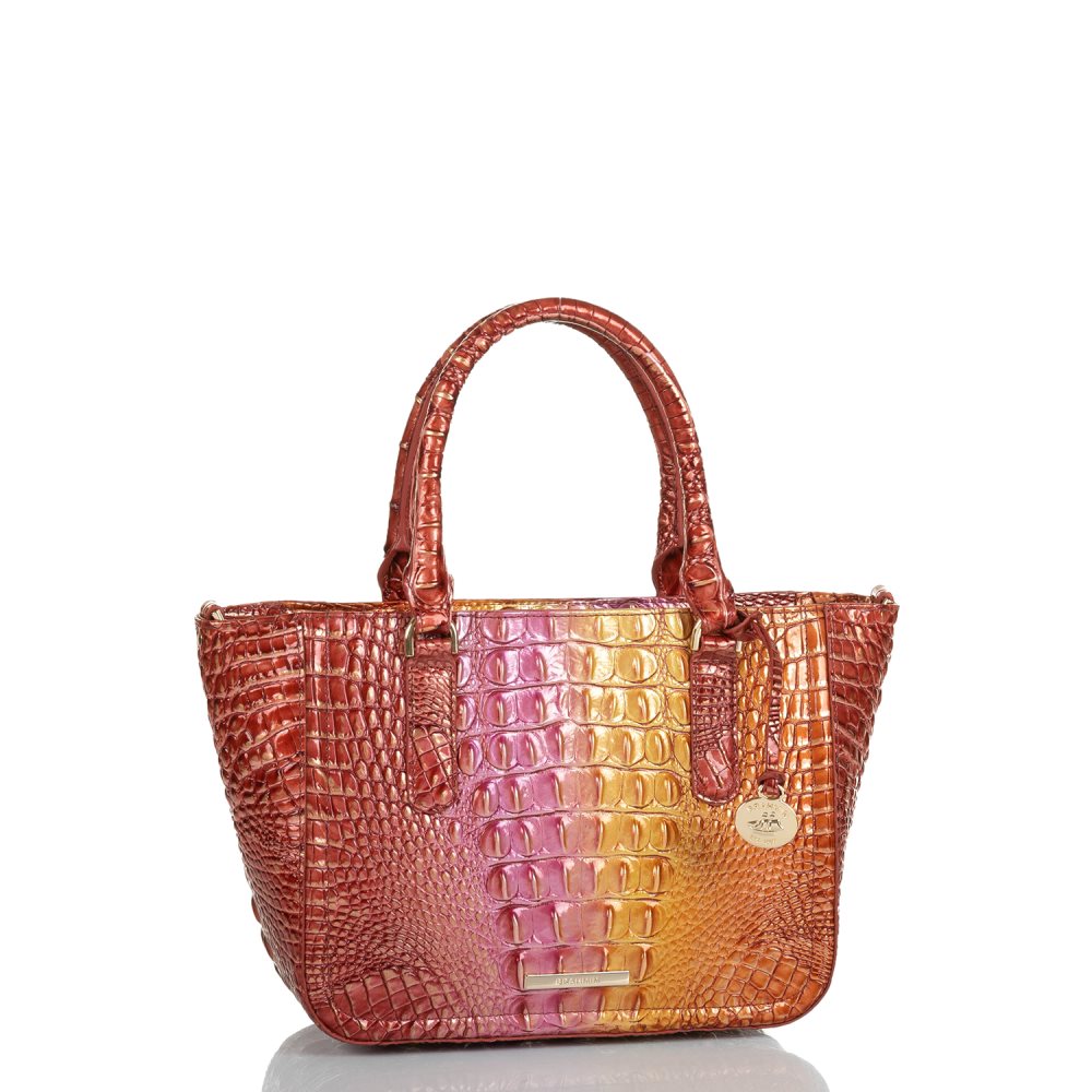 Brahmin Small Ashlee Glam Ombre Melbourne ID:Brahmin-203239
