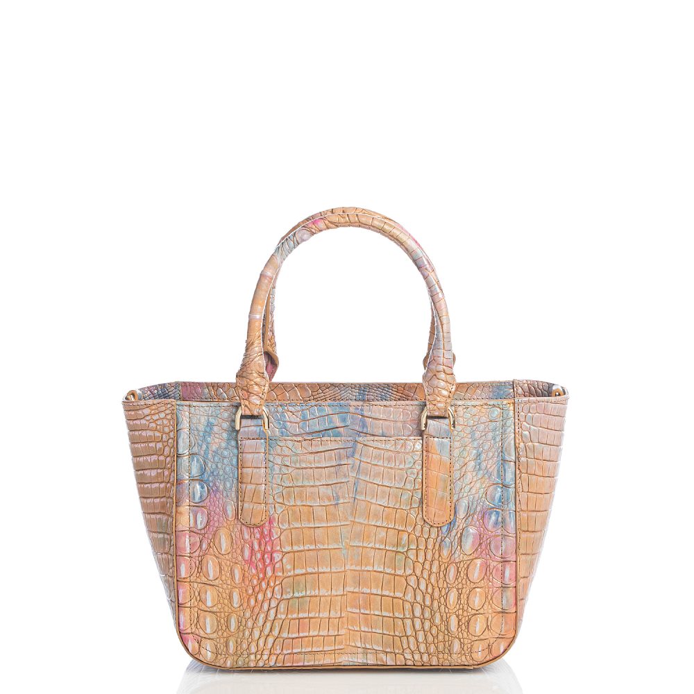 Brahmin Small Ashlee Courage Melbourne ID:Brahmin-203240