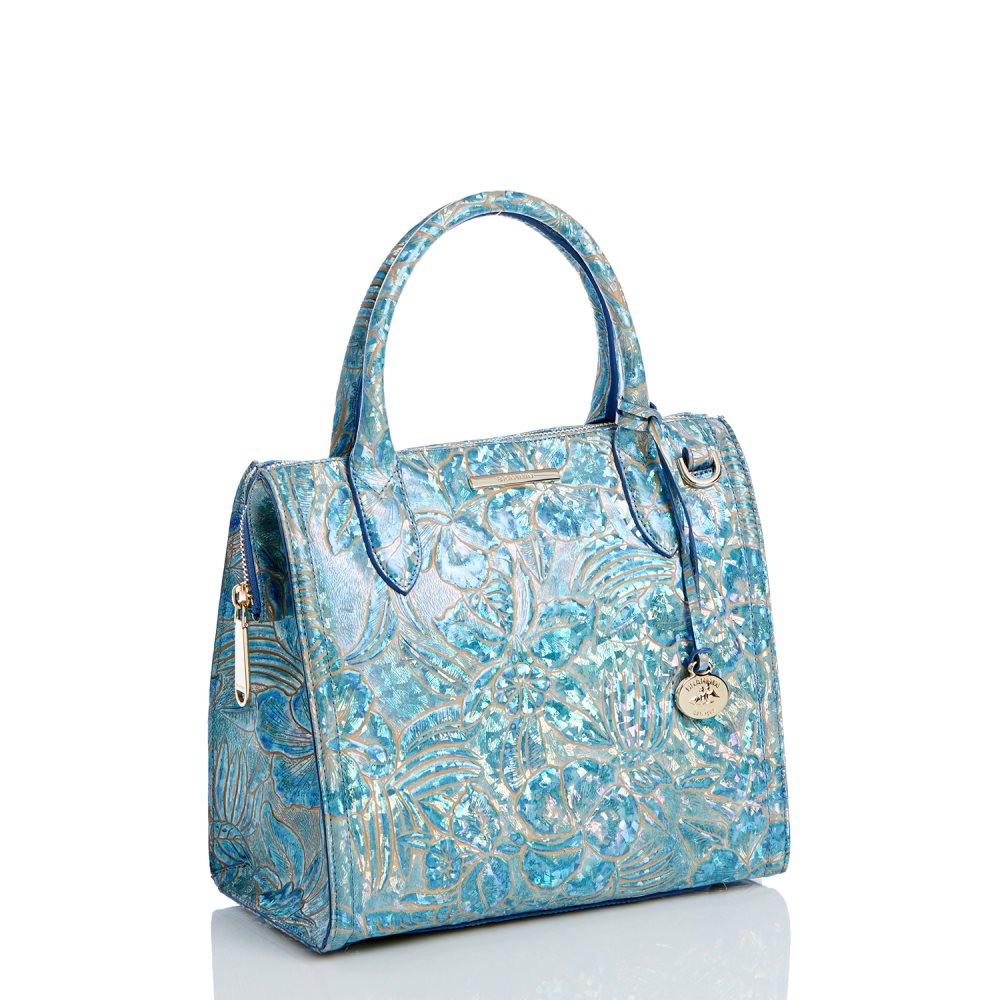 Brahmin Small Caroline Serenity Sonic ID:Brahmin-203182