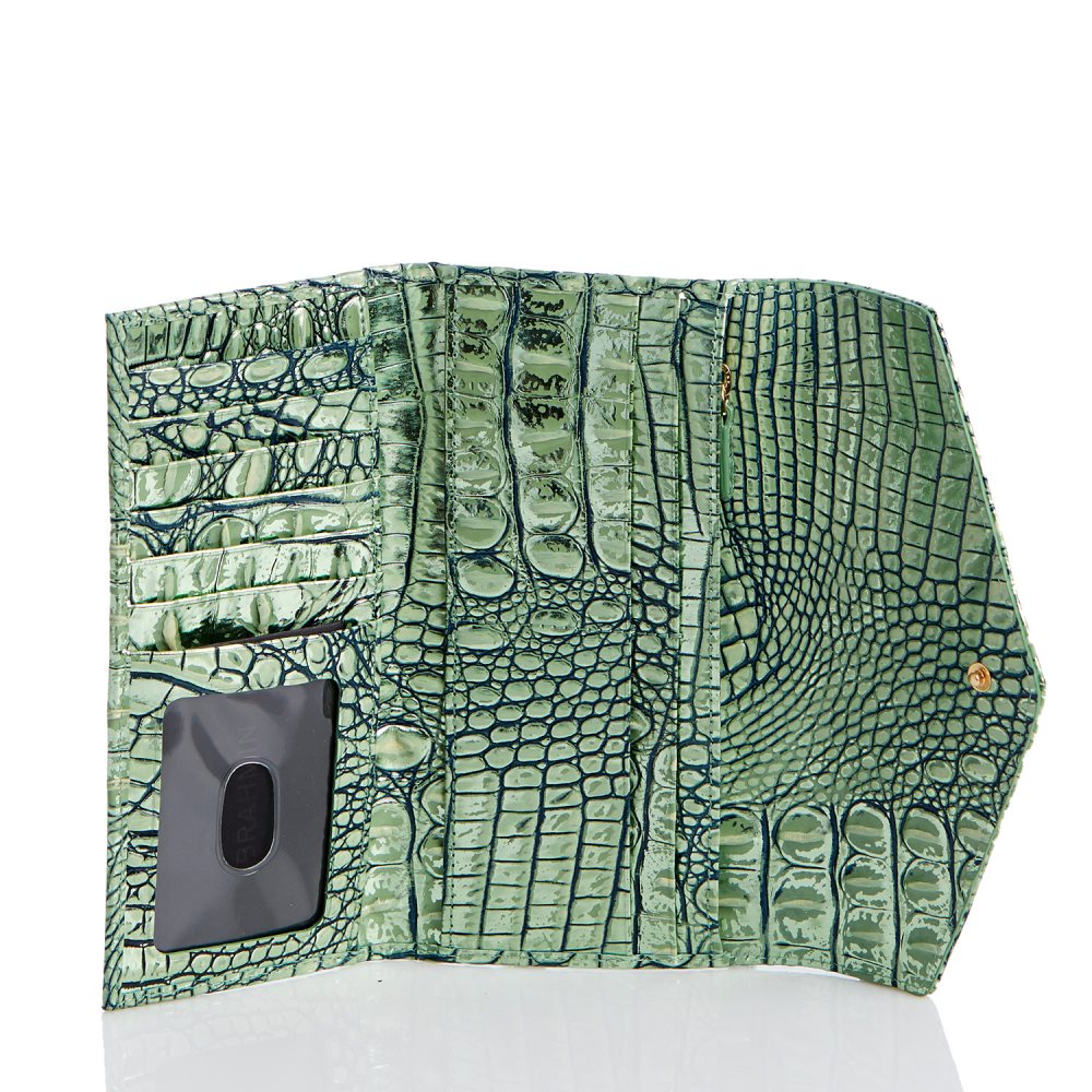 Brahmin Veronica Agave Melbourne ID:Brahmin-203604