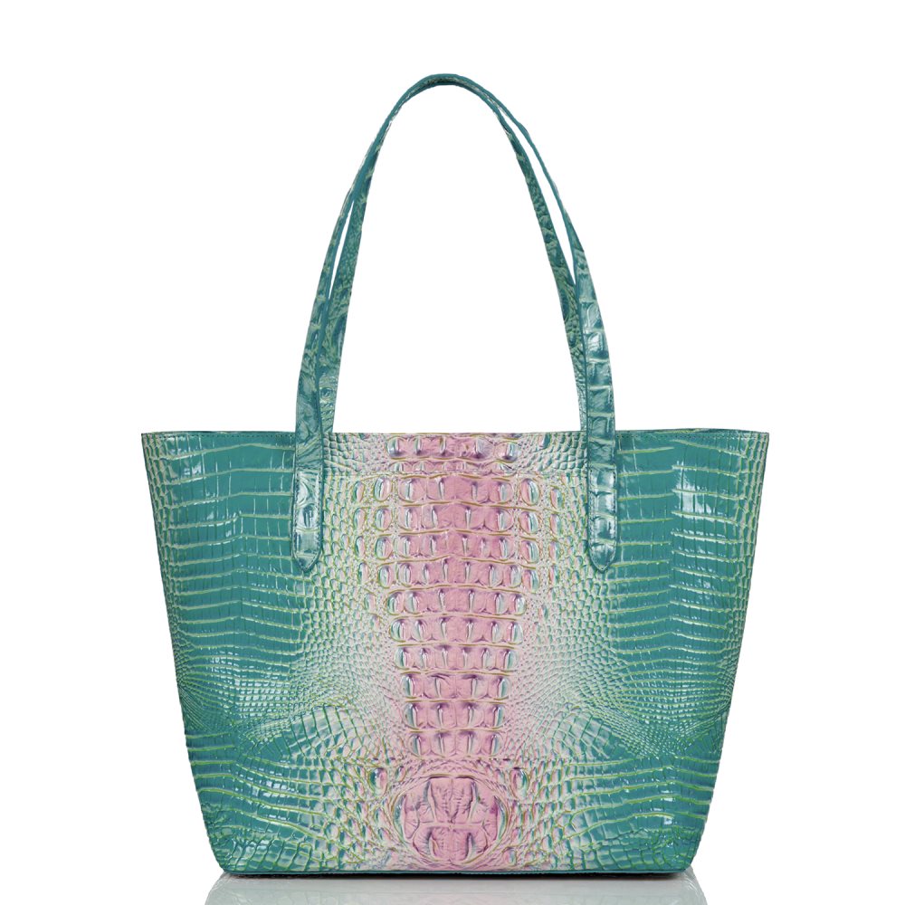 Brahmin Brooke Cotton Candy Ombre Melbourne ID:Brahmin-202809