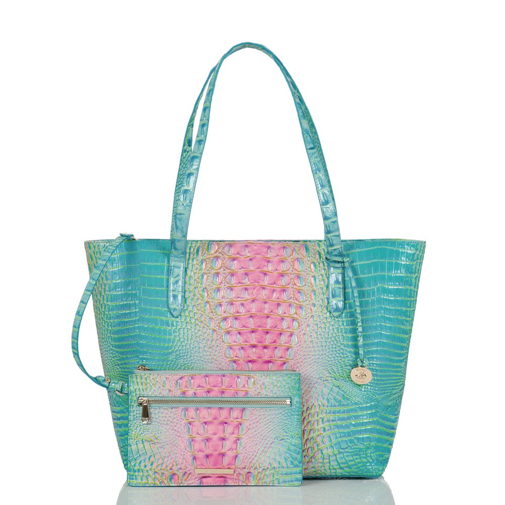 Brahmin Brooke Cotton Candy Ombre Melbourne ID:Brahmin-202809
