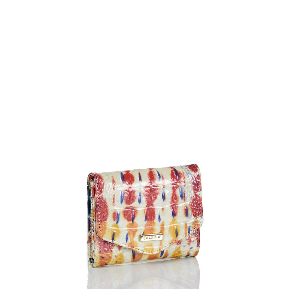 Brahmin Small Veronica Celebrate Melbourne ID:Brahmin-203655