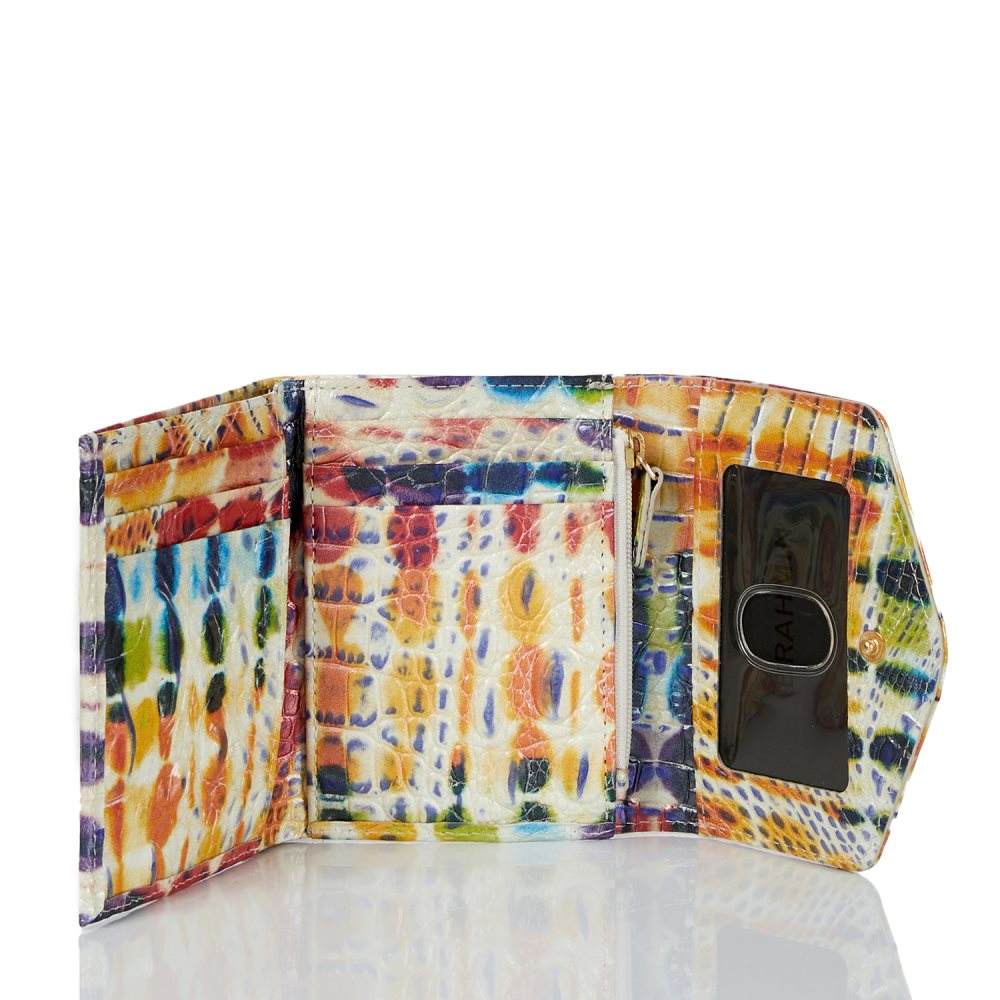 Brahmin Small Veronica Celebrate Melbourne ID:Brahmin-203655