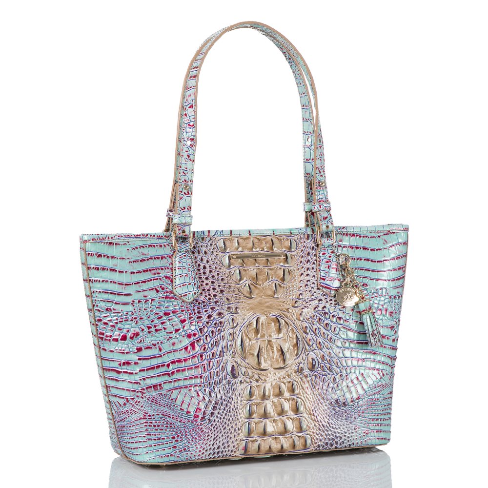 Brahmin Medium Asher Seltzer Ombre Melbourne ID:Brahmin-202774