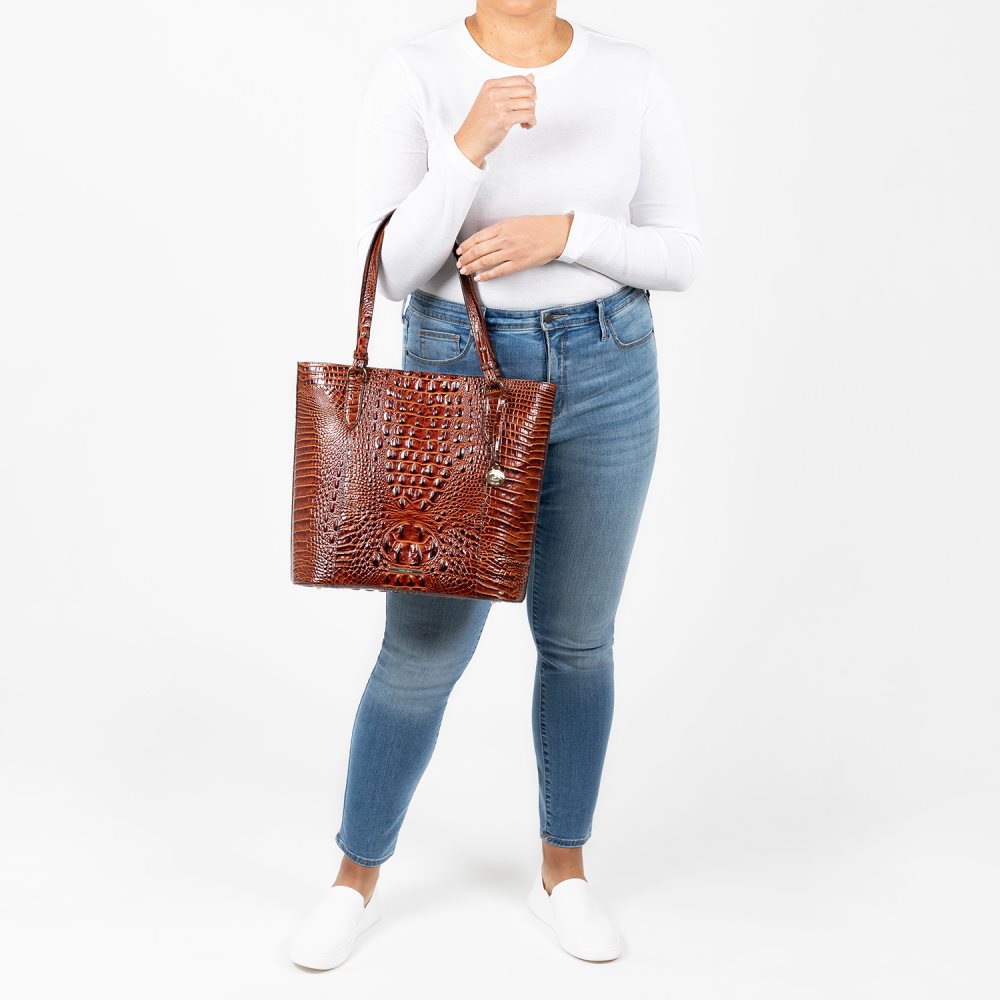 Brahmin Abigail Serenity Ombre Melbourne ID:Brahmin-202817