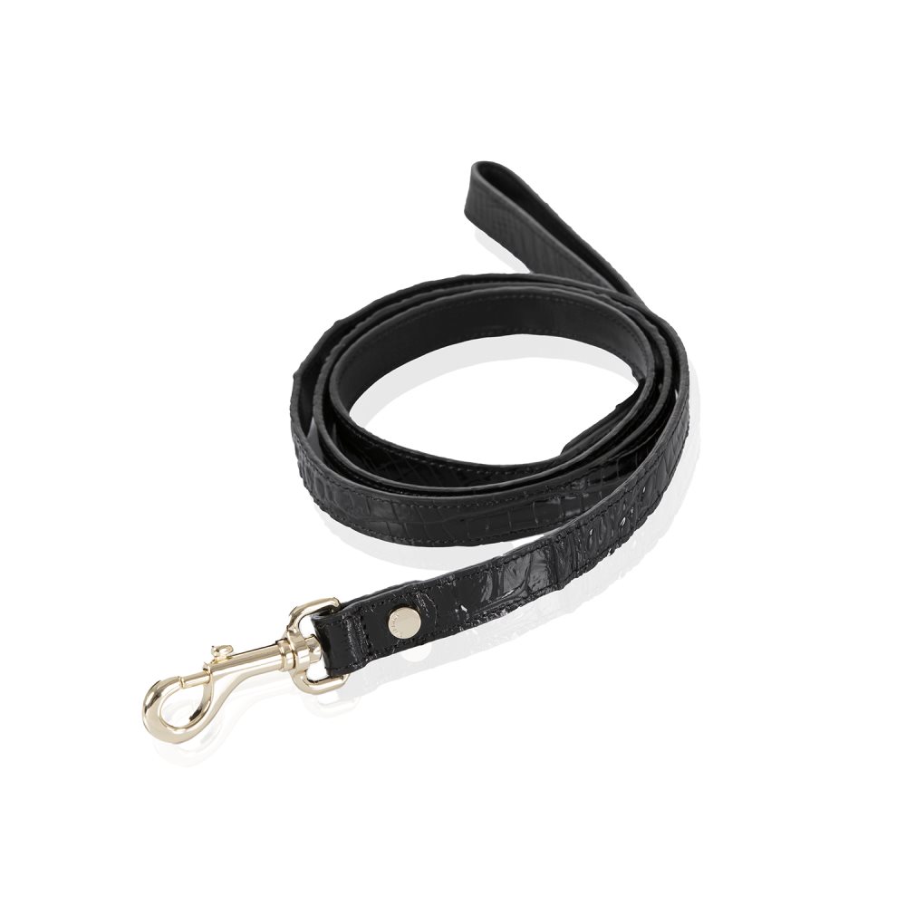 Brahmin Medium Pet Leash Black Melbourne ID:Brahmin-203585