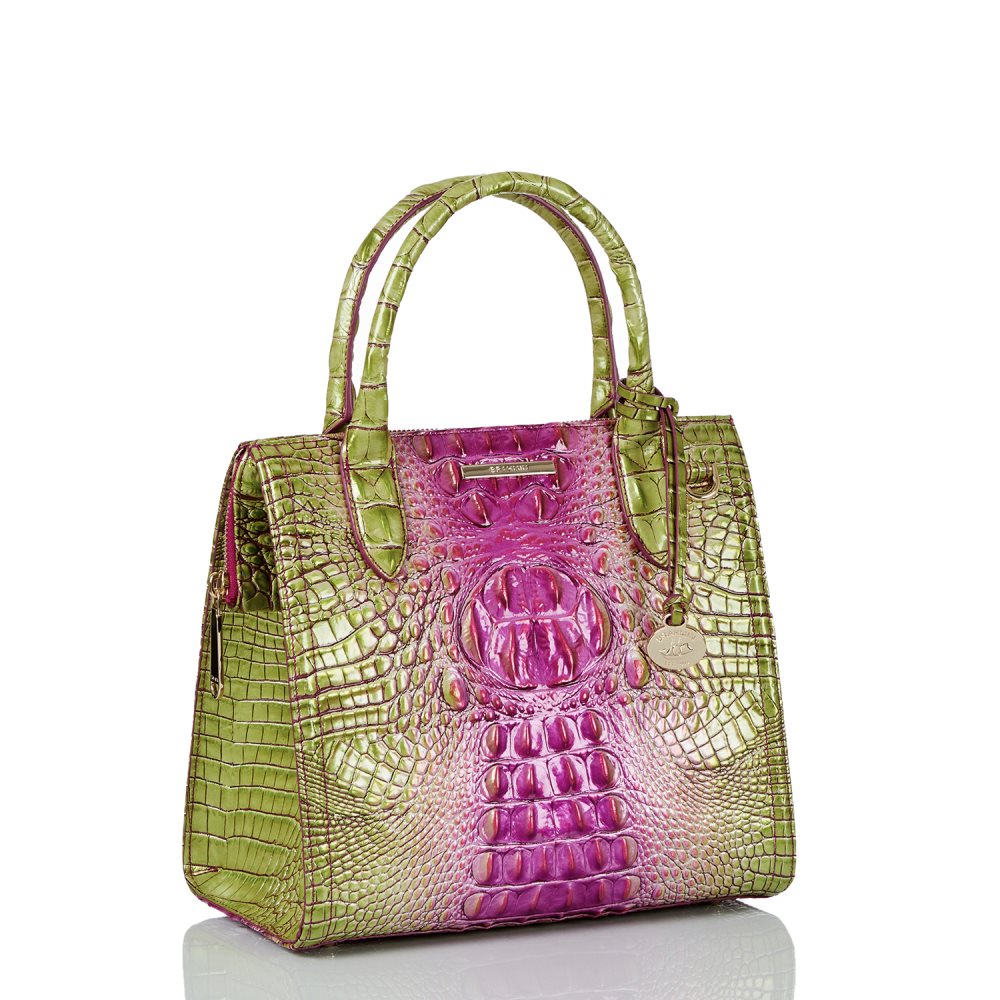 Brahmin Small Caroline Limeade Ombre Melbourne ID:Brahmin-203175