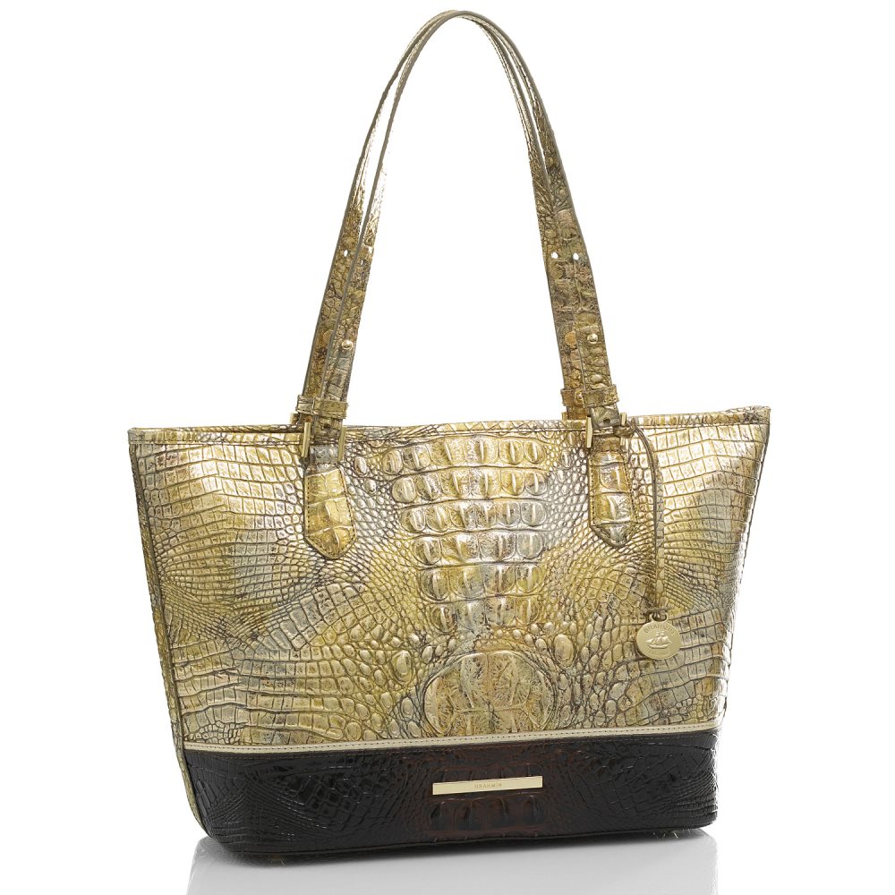 Brahmin Medium Asher Symphony Katla ID:Brahmin-202781