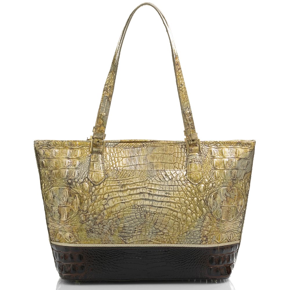 Brahmin Medium Asher Symphony Katla ID:Brahmin-202781