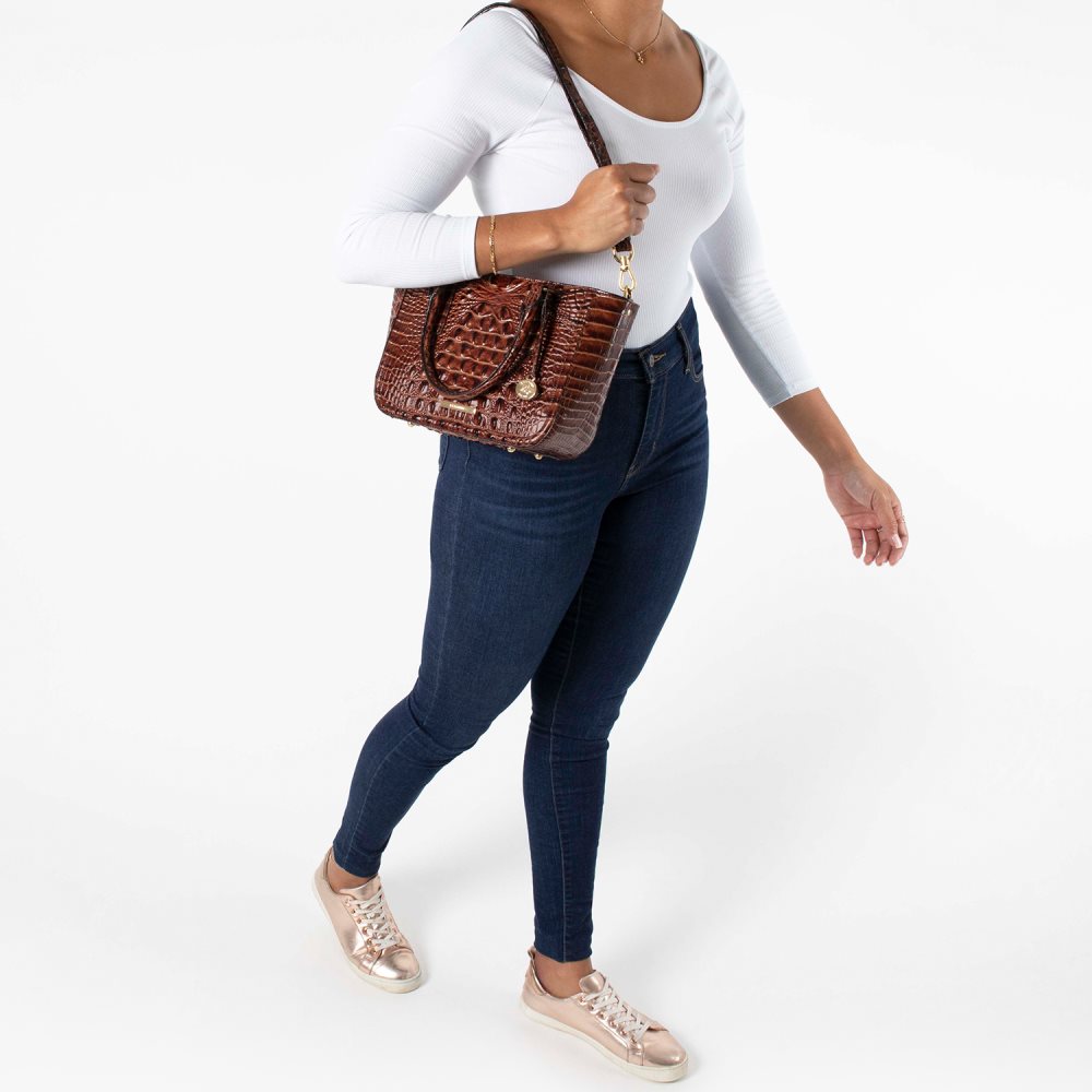 Brahmin Small Ashlee Neon Lights Mini Melbourne ID:Brahmin-203244