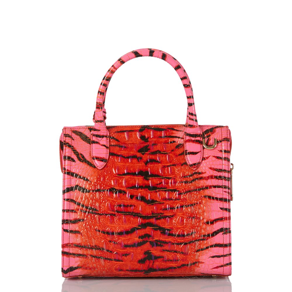 Brahmin Small Caroline Pink Feline Ombre Melbourne ID:Brahmin-203173