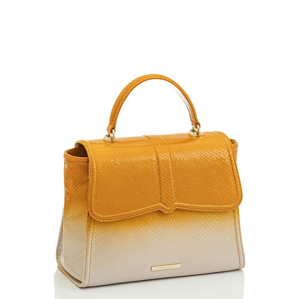 Brahmin Ingrid Canary Por do Sol ID:Brahmin-202949