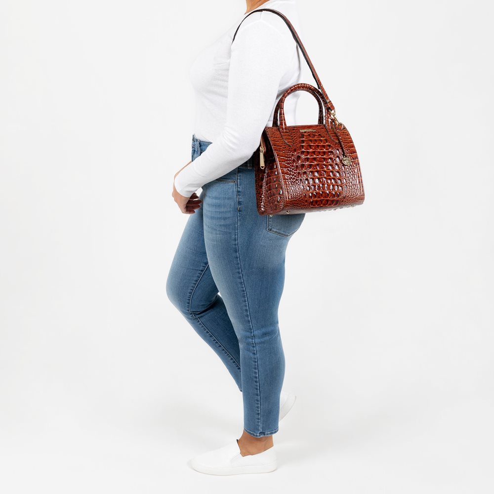 Brahmin Small Caroline Pink Flamingo Melbourne ID:Brahmin-203178