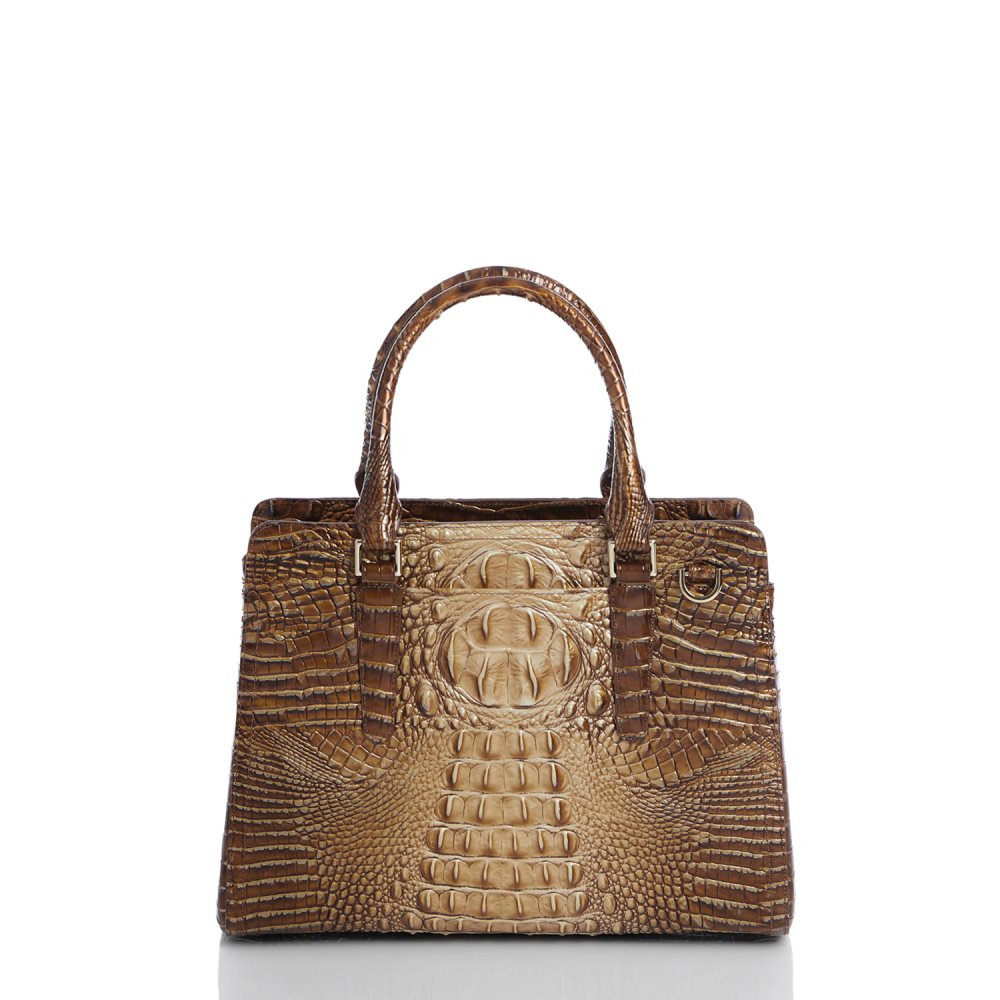 Brahmin Small Finley Teak Ombre Melbourne ID:Brahmin-203219