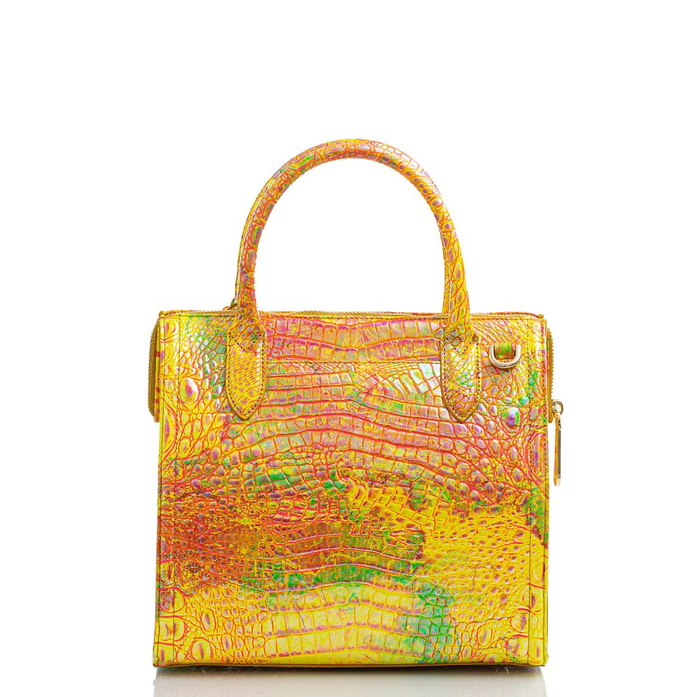 Brahmin Small Caroline Spritz Melbourne ID:Brahmin-203018