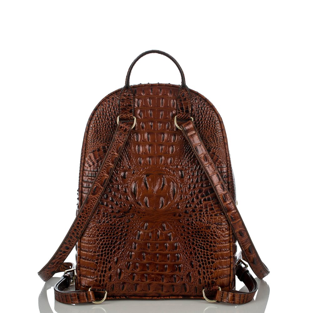 Brahmin Dartmouth Backpack | Brown Leather Backpack ID:Brahmin-203532