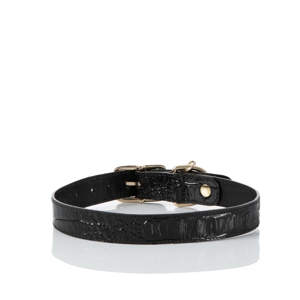 Brahmin Large Pet Collar Black Melbourne ID:Brahmin-203582